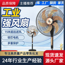 ���I��L�ȼ������Ï������L����ȹ��S�������X�~�L��Ĭ�J�