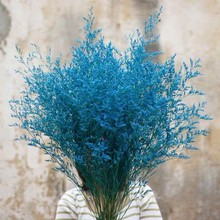 ˲ݻ͏d[O޹ϝMȻLɸ߼滨r