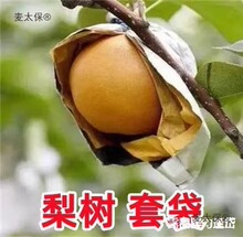 ���Ӵ��״����^������Ã��S�����B�S���������S���Sˮ�����̫��