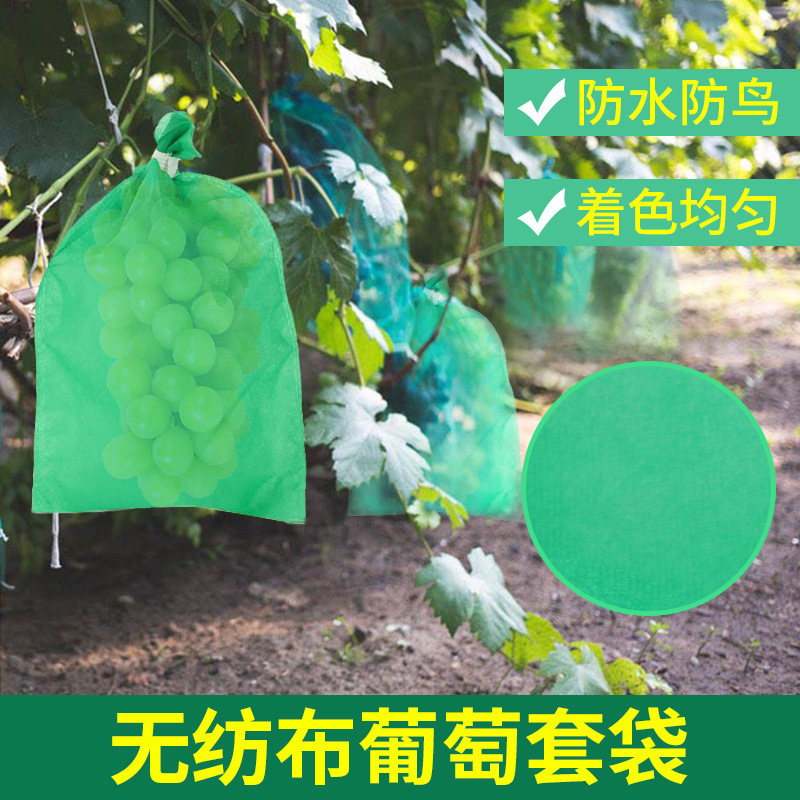 卸売バインディンググレープバッググリーンサンシャインローズ特別な通気性のある防鳥不織布グレープバッグフルーツバッグ|undefined