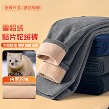 秋冬新款护膝加绒棉裤加厚高弹力男士保暖裤内搭雪貂绒贴片驼绒裤