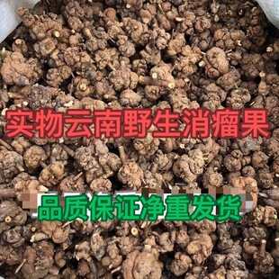 ���Ұɽ���������������������w��z�Ҿ��^�{�Ӳ��S�����������