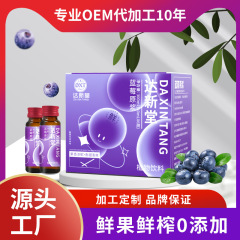 ブルーベリーピューレ 300ml アントシアニン抽出 食物繊維 フレッシュフルーツ しぼりたて 無添加 栄養補給 健康ドリンク