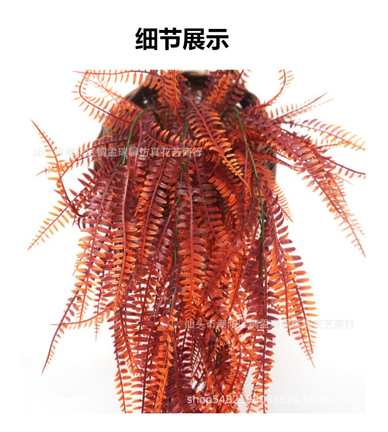 详情图