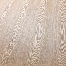 谷ľƤNľܶȰzϰOSBNbļҾ