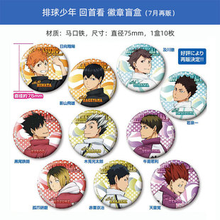 Clearance Japanese Authentic Haikyuu!! Shoyo Hinata Shoyo Akaashi Blind Box Merchandise