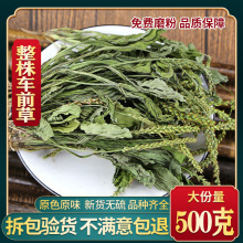 车前草干货包邮500g新鲜车前草茶中药材店铺车钱草