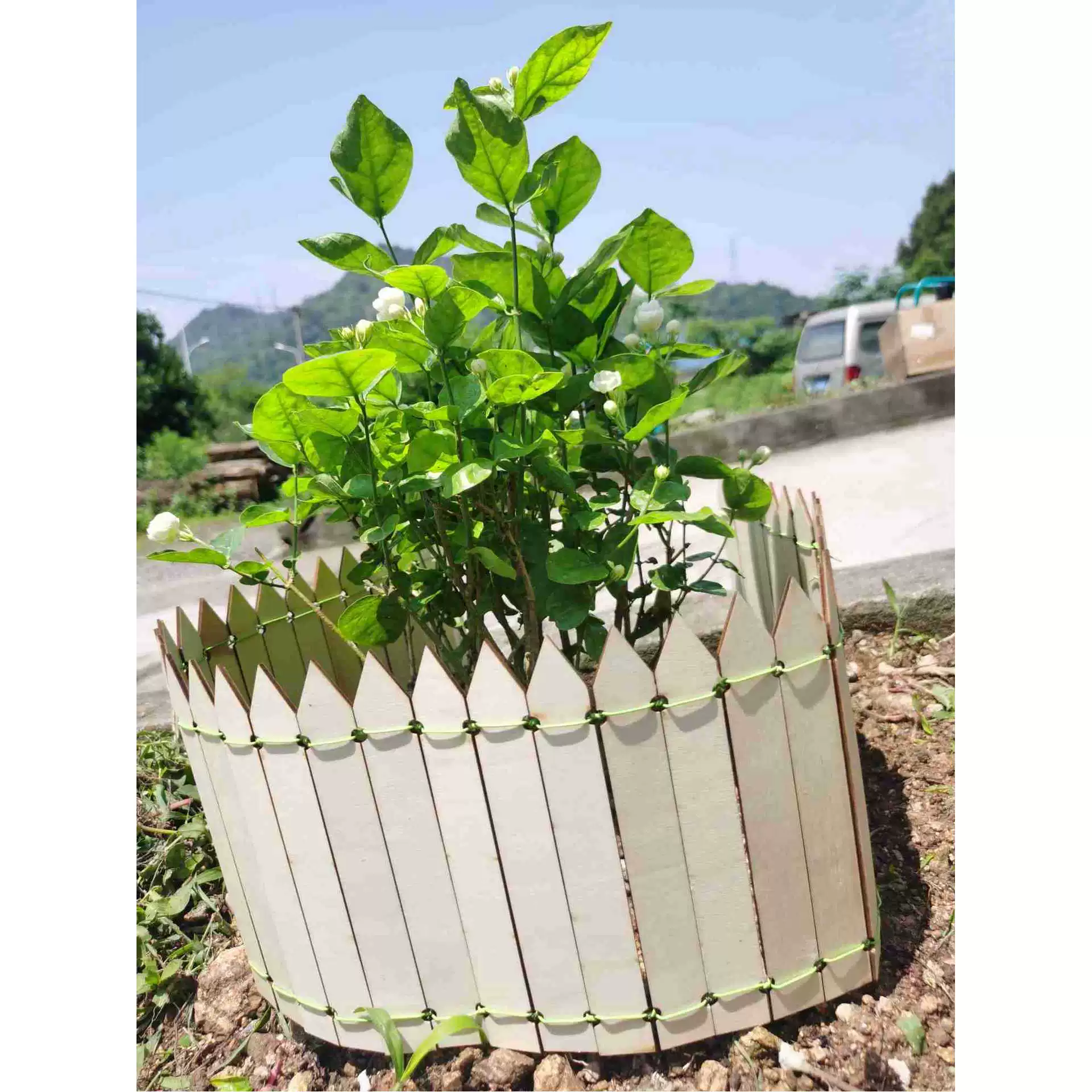 Деревянный Забор Новый Сад Садоводство Мясные Украшения Сцены Бонсай Мини Забор