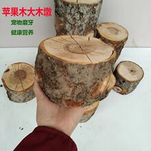 ��؈����ĥ��ľ���O��ľ�Ղ}���z��ĥ�����ߺ��̎������ҊԔ��