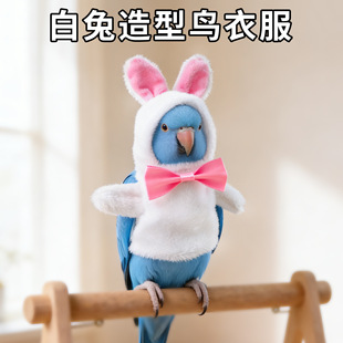 �羳������Ʒ�����YС�����W�^�B�·��ﶬ��ů�B��Ʒ���������l