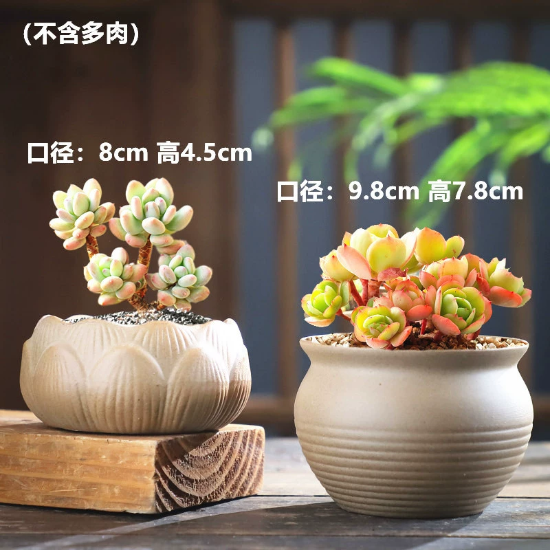 [Горячая распродажа на 30 дней, 1543 шт.] Набор керамических горшков для суккулентов из каменной керамики, комбинированный набор, специальное предложение, новый стиль, простой дизайн