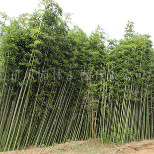 �����繫�@�ļ������^�p�L�����ͺ�����ͥԺ�����������Т����