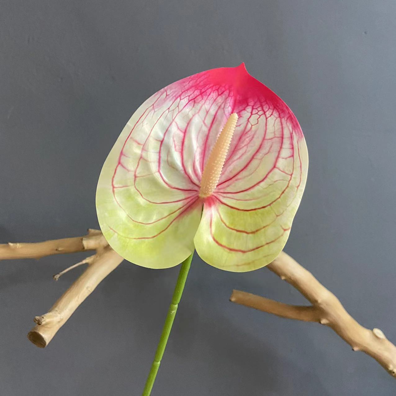 #6 (색상 당 10 스틱 픽업, 덜 쏘지 마십시오)