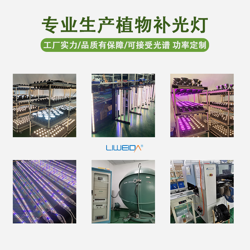 60Wȫ���� LEDֲ��������IP65 ��ˮ����ֱ���ɶ��ƹ��������ɶ���