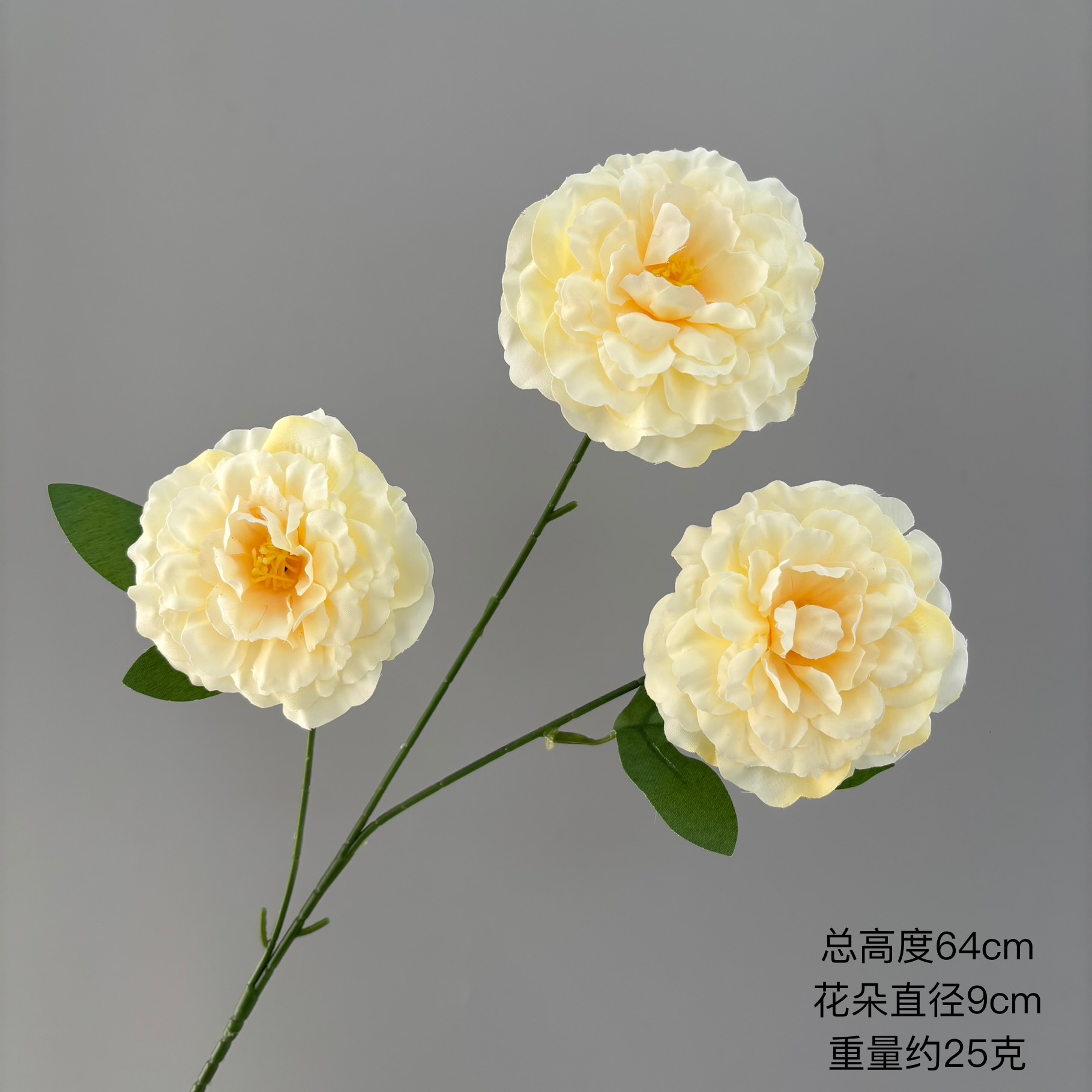잉어 3마리