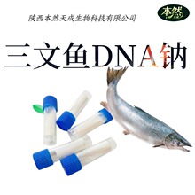 ~DNAc99%yƷÓǺPDRNԭl1g/