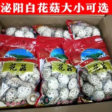 泌阳白花菇剪脚干货农家土特产香菇干蘑菇批发