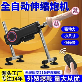 仿真阳具;其他情趣用品;其他女用
