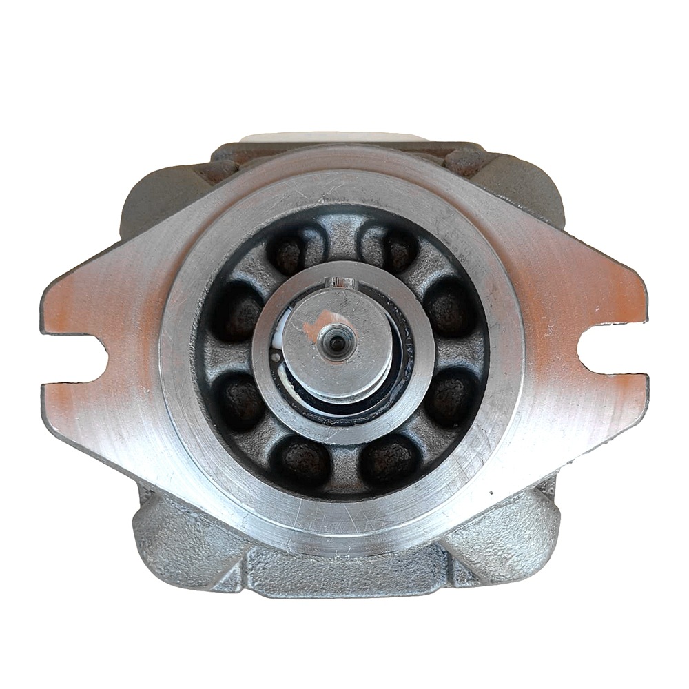 ���SUNNY ������VIOTH EICKERLE�����ո�ѹ�ŷ��ͱ�JPWORLD