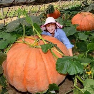 �����ϹϷN���ش�߮a�ϹϷN���ļ������^�pʳ�ô��Ϲ����ļ�����