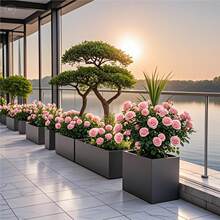 ���ⲻ�P䓻��������ֵ����x���ۼӺ���ٻ�����[�Fˇ����