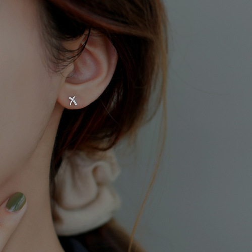 925 Silver Needle Earrings for Women,  New Trendy and Unique Design, High-end Sense, Instagram-style Earrings, Ear Hole Nurturing, Small and Cute Eardrops