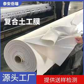防渗复合土工膜300g  路基挡土墙防渗土工布  两布一膜一布一膜