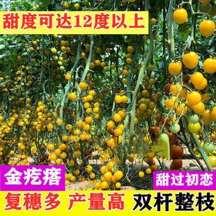 СѷN}ŮNӳ̨֭ͥԺ߮aˮNļN