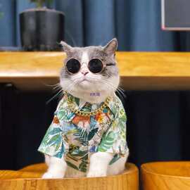 夏季猫咪衣服小型犬薄款泰迪布偶猫蓝白美短猫猫衣服宠物装花衬衫