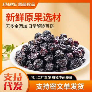 小包装蓝莓干果干 独立包装居家休闲解馋小零食 手抓包蓝莓果脯