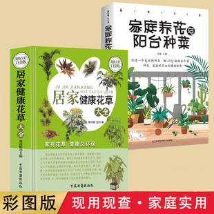 �����b�ʈD�桿���֌��þӼҽ������ݴ�ȫ�҃��B������