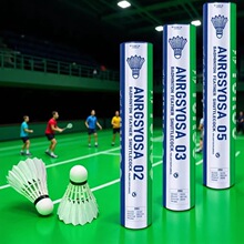 �ʹ��ȿ�˹��ë��AS03ѵ������Ѽë�����ڷ����ȶ��ʹ����⻥��
