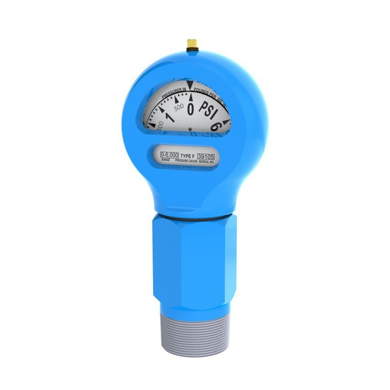 F型泥浆压力表2寸NPT外螺纹或2寸NPT内螺纹