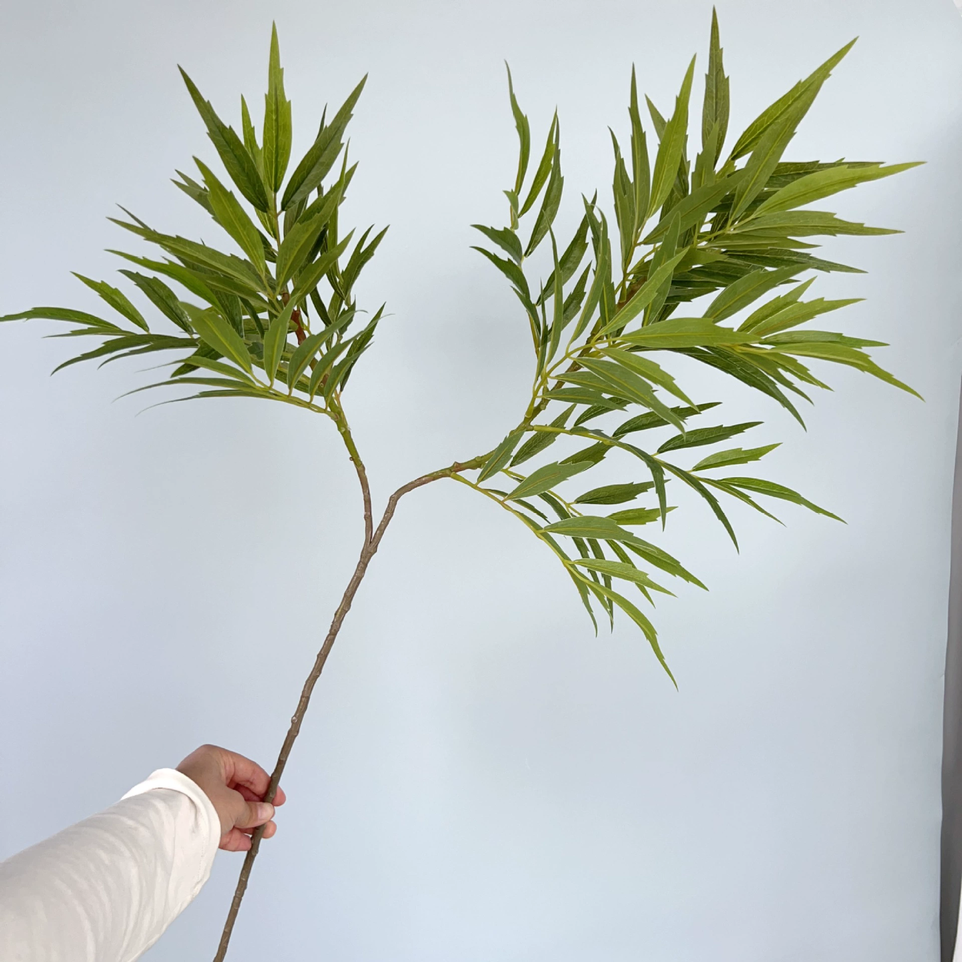 Имитация 2 вилки десять больших заслуг