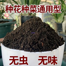 ��ֳ�����~������ͨ���͠I�B���B���N�˷Nֲ��͸ˮ͸����̿��