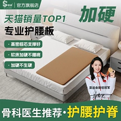 床垫护腰护脊椎用床板人沙发硬垫板塌陷软床变床垫加硬薄