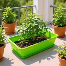 ÷Nˌ̨߲˷Nֲ ߲ w߲˷N