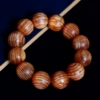 Xuelongmu (shunwen)