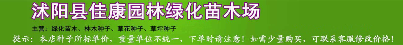 O1CN0116c3G31HhrZBp3tjX_!!2219