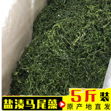 �s��Ұ�������}�n�Rβ����؛���ݱ��ڹS�L�۲˛�����ʳ��