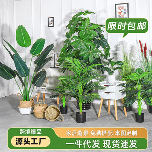 ֲ҃辰b٘ɢβ˽BԷGֲ