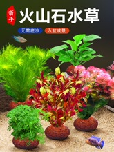 ��ɽʯˮ��ֲ���~���쾰���ˮ������ˮ����ԾG�Ճ���ˮ�|�ײ�