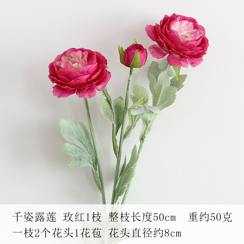 로즈 레드