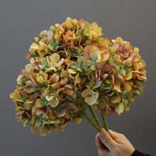 ��֦������ɫ��ʽ��ɫ�����֦�ɻ��u׃��ɫ����ŵ仨ɫ���^��֦