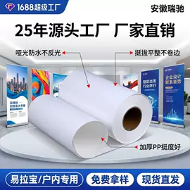 车身贴;保护膜;广告板