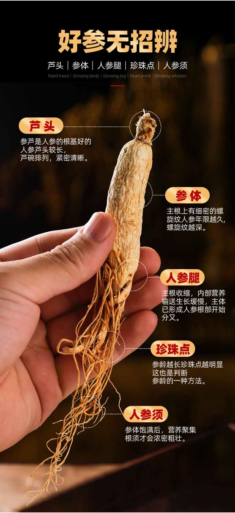 人參詳情頁(yè)_04