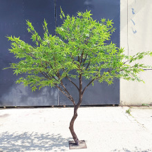 �������������쾰�Gֲ�٘��҃��b���ؾƵ��̈����������R��ľ