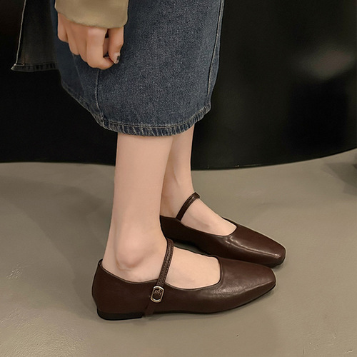 French evening breeze commuting single shoes for women, wholesale new spring Korean version fairy thick heel Mary Jane small leather shoes