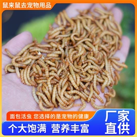 仓鼠零食;观赏鱼饲料;猫猫零食