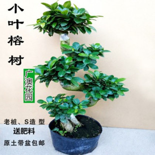 �ļ������䘶�辰���҃�ֲ���˅���С�~�Ř������¿��ͺ���